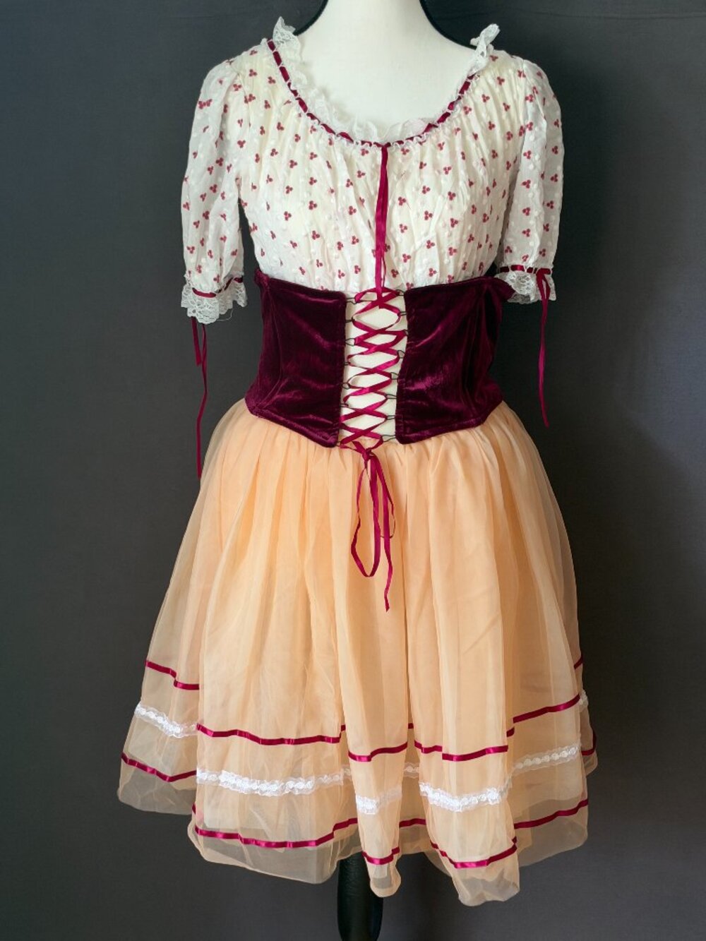 Revolution Something There Peach Burgundy Velvet Corset Ballet Costume XXLC